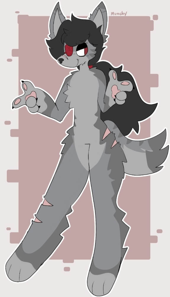 A grey wolf with an eyepatch