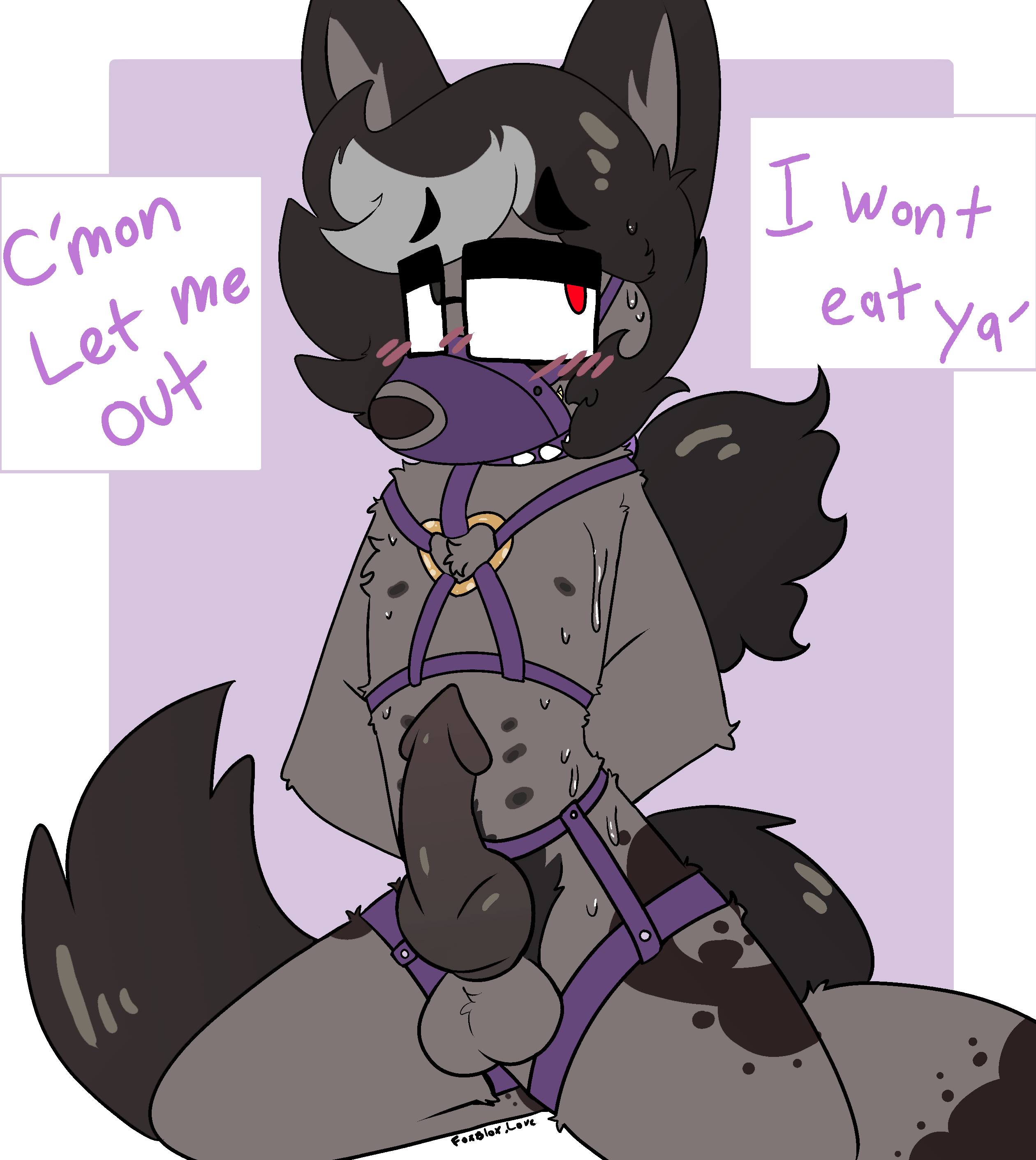 A bound up wolf
